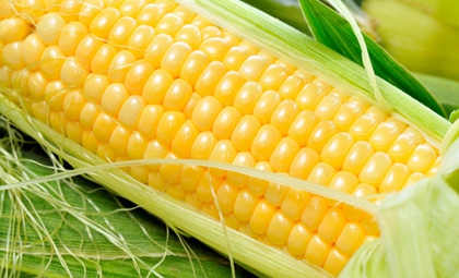 Кукуруза: польза продукта