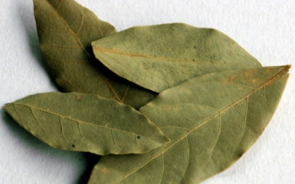 Очищение суставов лавровым листом