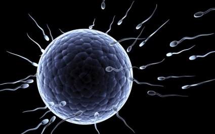 Почему сперма вытекает из влагалища?
