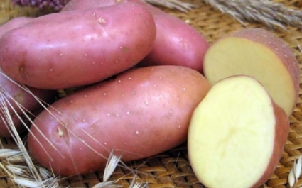 Лечение геморроя картофелем: лучшие методики