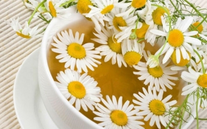 Монастырский чай от остеохондроза: состав, так ли он эффективен?