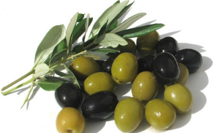 Маслины и оливки: в чем разница?