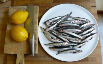 Рыба анчоус: что это такое, фото, рецепты