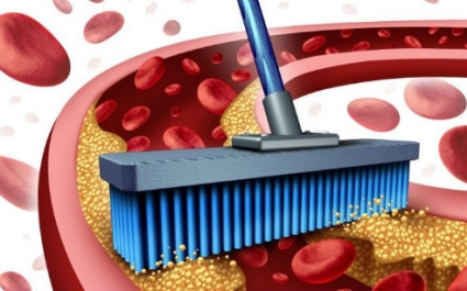 Очистить кровь в домашних условиях: методики
