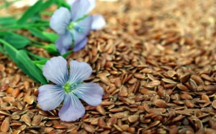 Семена льна при панкреатите: польза, рецепты