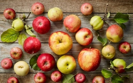Яблочная диета на 3, 5, 7 дней: меню, отзывы