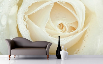 Фотообои розы в интерьере: стильно и романтично