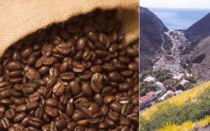 Самые дорогие сорта кофе в мире: список и фото