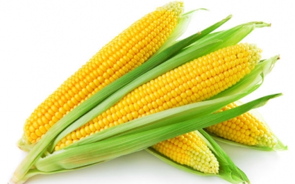 Кукурузная диета: меню, отзывы и результаты