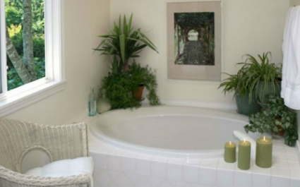 Идеальные комнатные растения для ванной
