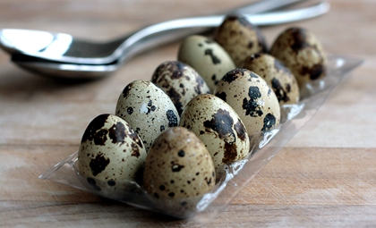 Перепелиные яйца: польза и применение