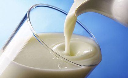 Вред молока для организма