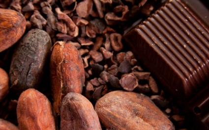 Польза и вред горького шоколада, его состав
