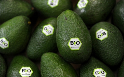 Как выбрать авокадо: секреты правильного выбора