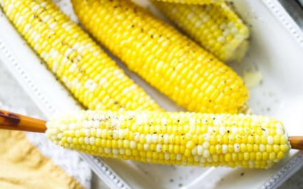 Как нужно варить кукурузу в початках: рецепт и советы