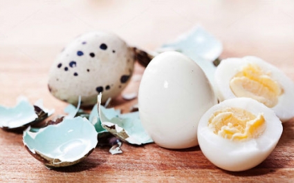 Сколько и как варить перепелиные яйца?