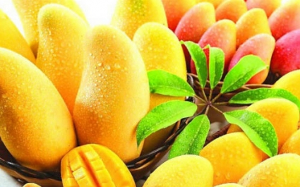 Как выбрать вкусный и спелый манго: секреты